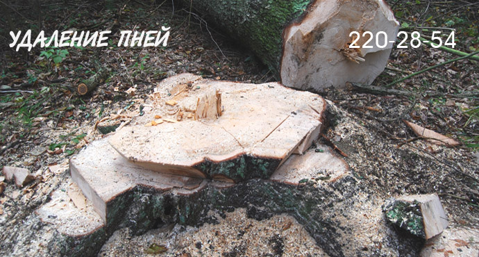 Удаление пней