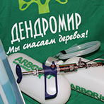 Изображение к статье - Лечение деревьев